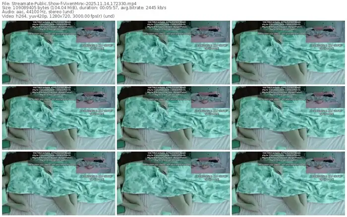 streamate-vixenminx-11-14-2025-17-23-30