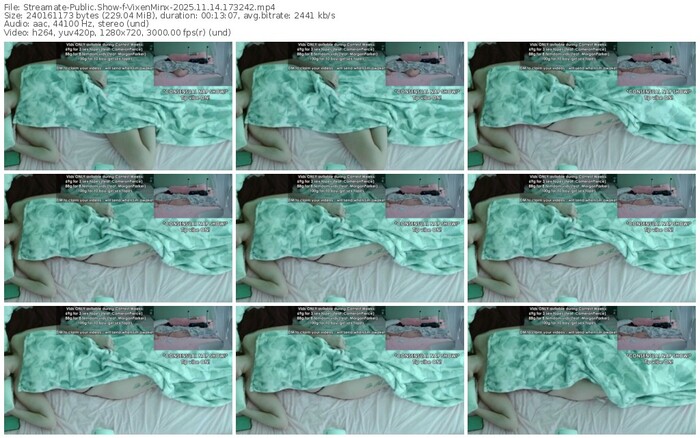 streamate-vixenminx-11-14-2025-17-32-42