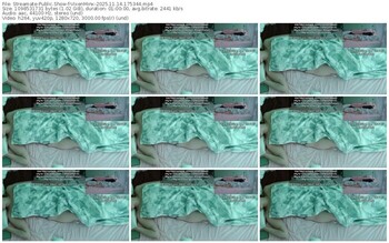 streamate-vixenminx-11-14-2025-17-53-44