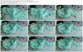 streamate-vixenminx-11-14-2025-18-54-29