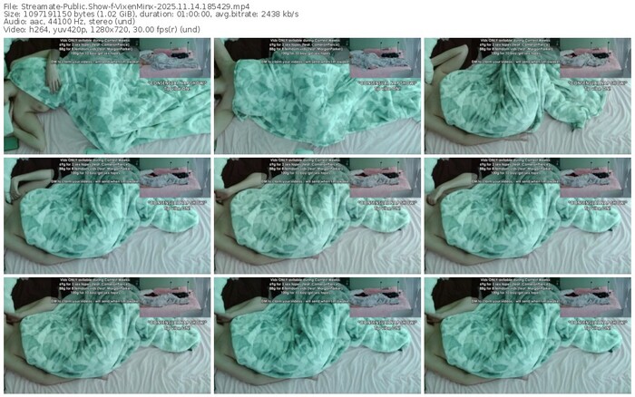 streamate-vixenminx-11-14-2025-18-54-29