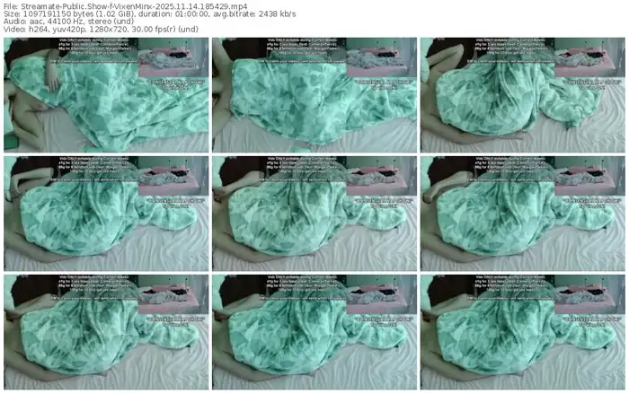 streamate-vixenminx-11-14-2025-18-54-29