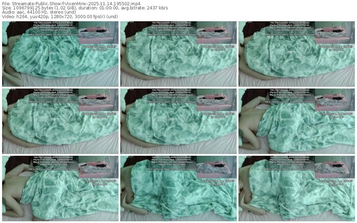 streamate-vixenminx-11-14-2025-19-55-02