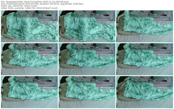 streamate-vixenminx-11-14-2025-20-55-38