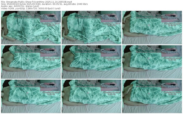 streamate-vixenminx-11-14-2025-20-55-38