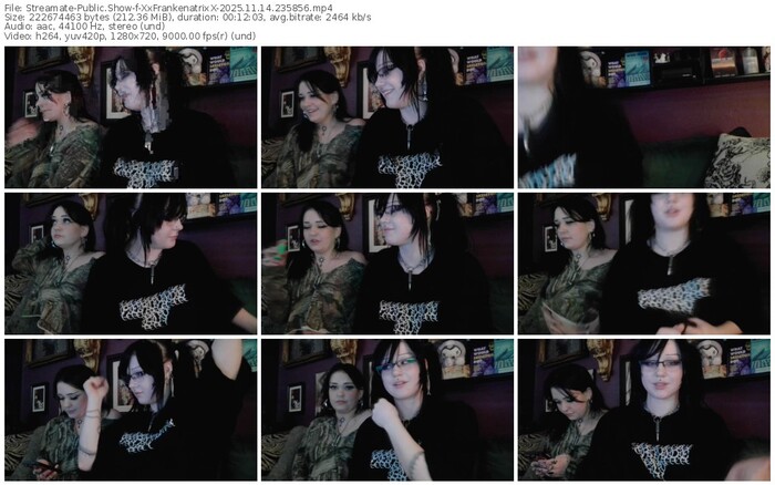 streamate-xxfrankenatrixx-11-14-2025-23-58-56