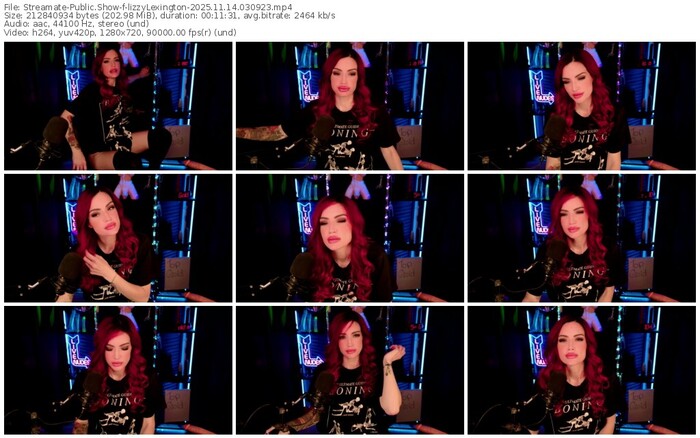 streamate-lizzylexington-11-14-2025-03-09-23