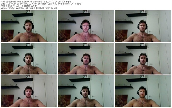 streamate-alphahhunk-11-14-2025-16-49-06