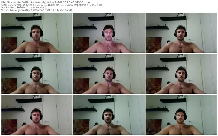 streamate-alphahhunk-11-14-2025-16-49-06