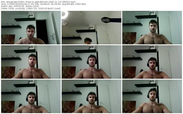 streamate-alphahhunk-11-14-2025-18-56-14