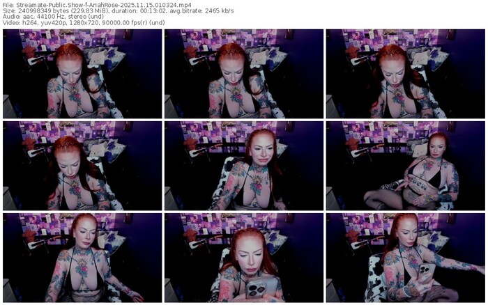 streamate-ariahrose-11-15-2025-01-03-24