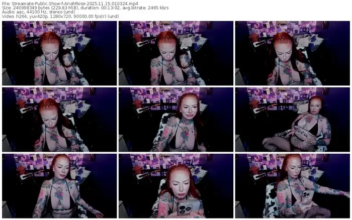 streamate-ariahrose-11-15-2025-01-03-24