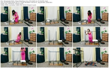 streamate-darling_love_333-11-15-2025-01-20-51