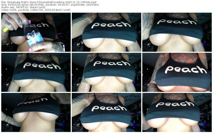 streamate-dixierebeldixiedime-11-15-2025-14-55-44