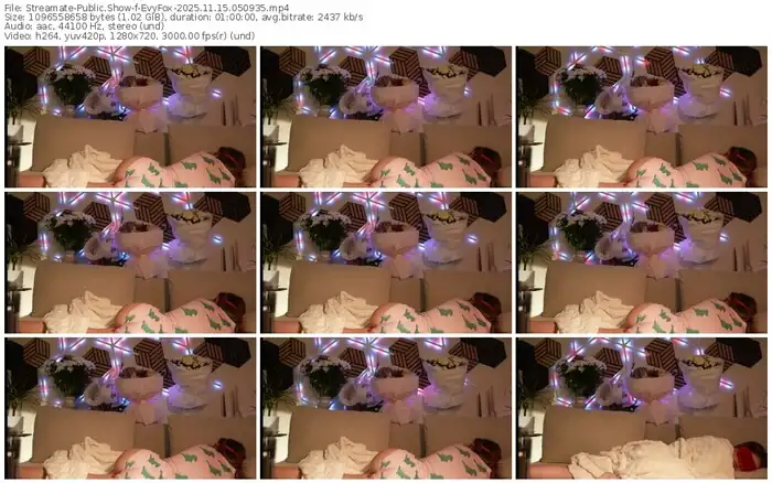 streamate-evyfox-11-15-2025-05-09-35