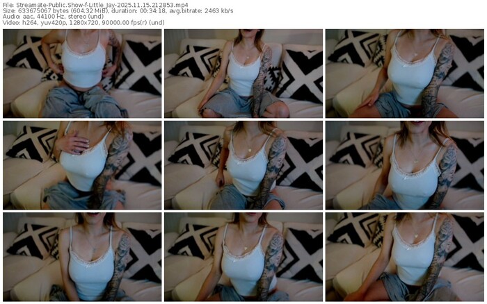 streamate-little_jay-11-15-2025-21-28-53