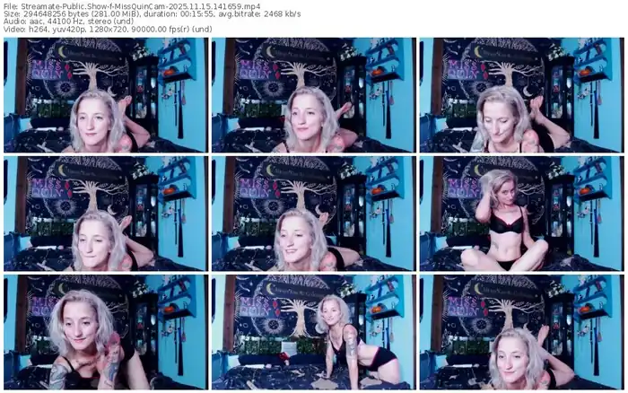 streamate-missquincam-11-15-2025-14-16-59