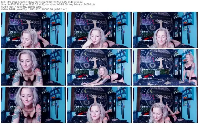 streamate-missquincam-11-15-2025-15-41-57