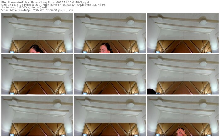 streamate-sussystorm-11-15-2025-04-48-45