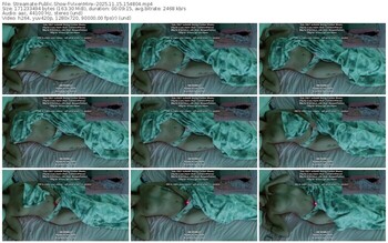 streamate-vixenminx-11-15-2025-15-48-04