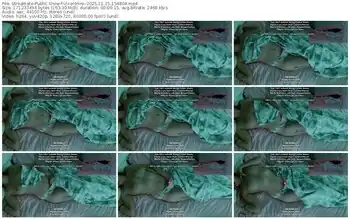 streamate-vixenminx-11-15-2025-15-48-04