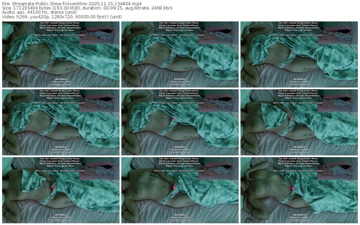 streamate-vixenminx-11-15-2025-15-48-04
