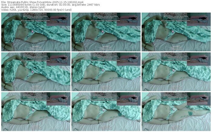 streamate-vixenminx-11-15-2025-16-02-02