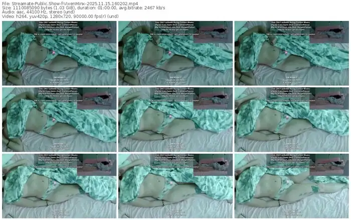 streamate-vixenminx-11-15-2025-16-02-02