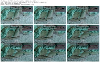 streamate-vixenminx-11-15-2025-17-02-39