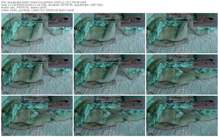 streamate-vixenminx-11-15-2025-17-02-39