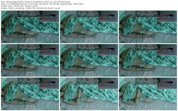 streamate-vixenminx-11-15-2025-19-03-53