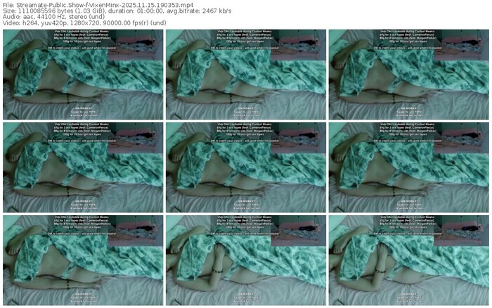 streamate-vixenminx-11-15-2025-19-03-53