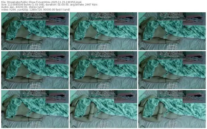 streamate-vixenminx-11-15-2025-19-03-53