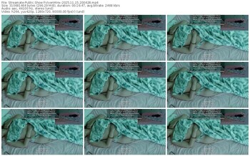 streamate-vixenminx-11-15-2025-20-04-28