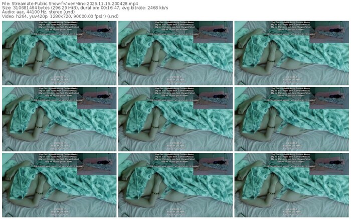 streamate-vixenminx-11-15-2025-20-04-28