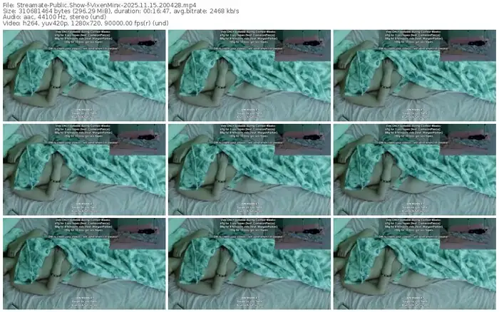 streamate-vixenminx-11-15-2025-20-04-28