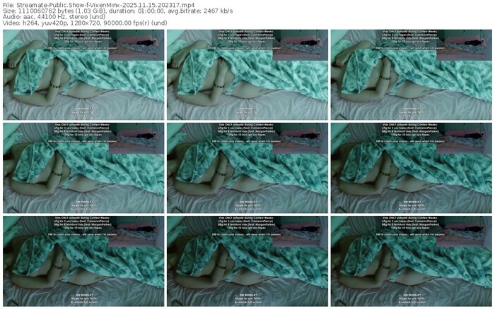 streamate-vixenminx-11-15-2025-20-23-17