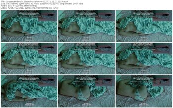 streamate-vixenminx-11-15-2025-21-23-53