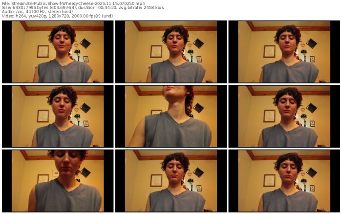 streamate-wheezycheese-11-15-2025-07-02-50