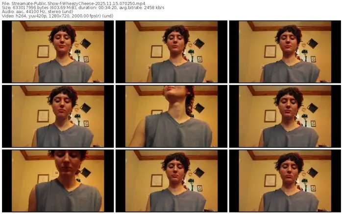 streamate-wheezycheese-11-15-2025-07-02-50