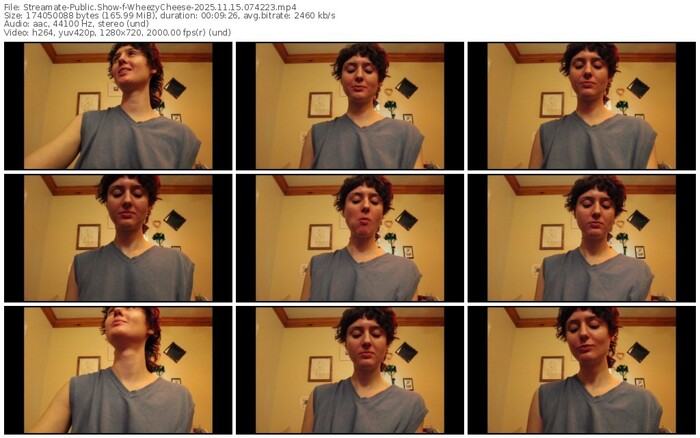 streamate-wheezycheese-11-15-2025-07-42-23