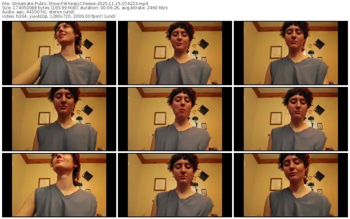 streamate-wheezycheese-11-15-2025-07-42-23