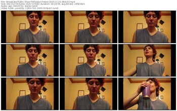 streamate-wheezycheese-11-15-2025-08-41-53