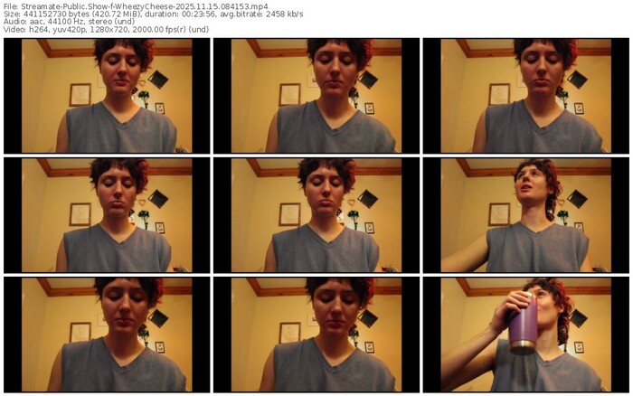 streamate-wheezycheese-11-15-2025-08-41-53