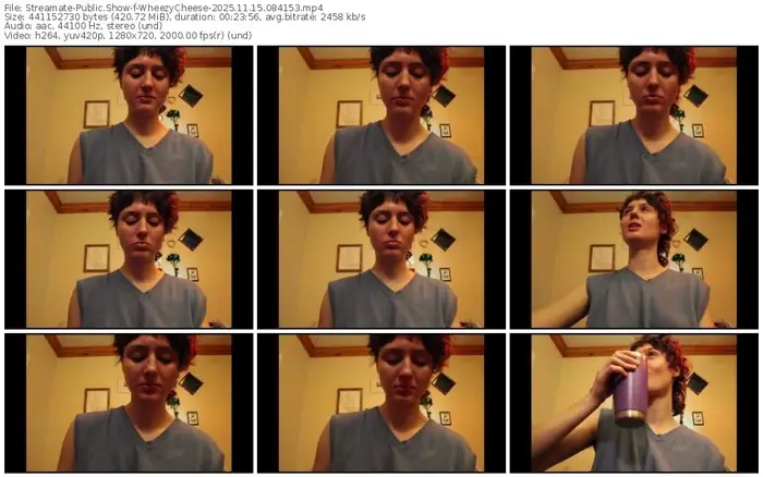 streamate-wheezycheese-11-15-2025-08-41-53