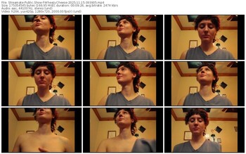 streamate-wheezycheese-11-15-2025-09-39-05