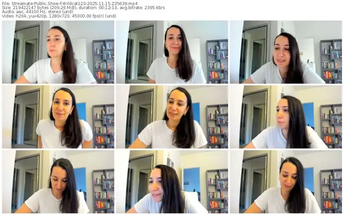 streamate-wildcat123-11-15-2025-23-56-39