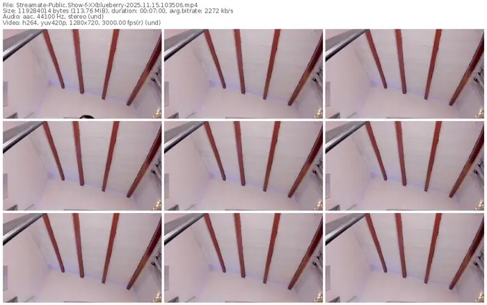 streamate-xxblueberry-11-15-2025-10-35-06