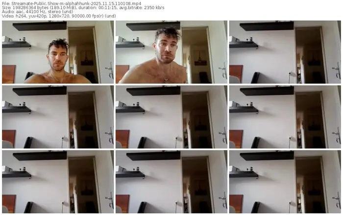 streamate-alphahhunk-11-15-2025-11-01-08