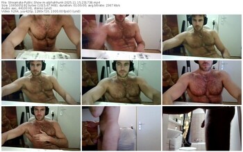 streamate-alphahhunk-11-15-2025-23-17-38